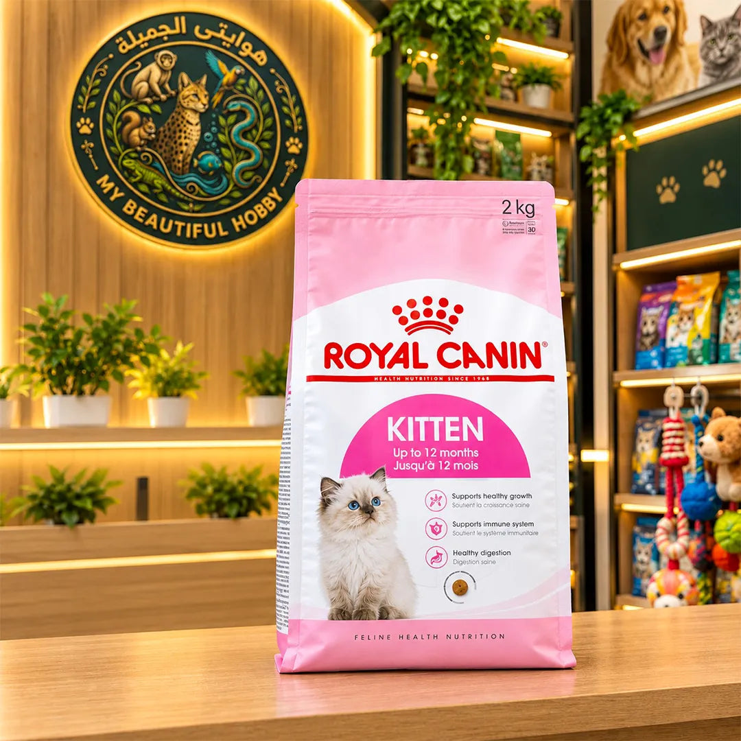 Royal Canin Kitten Dry Food (Up to 12 Months)