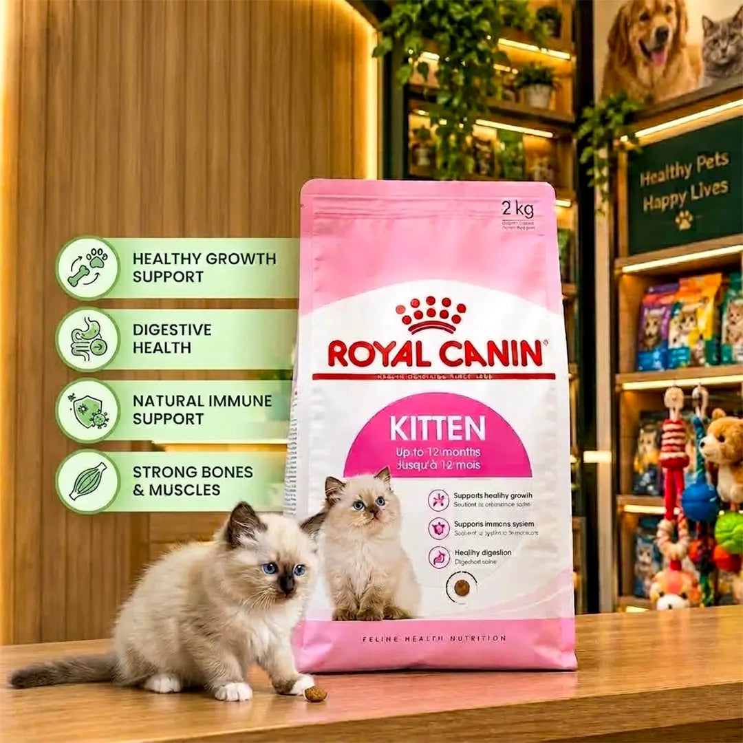 Royal Canin Kitten Dry Food (Up to 12 Months)