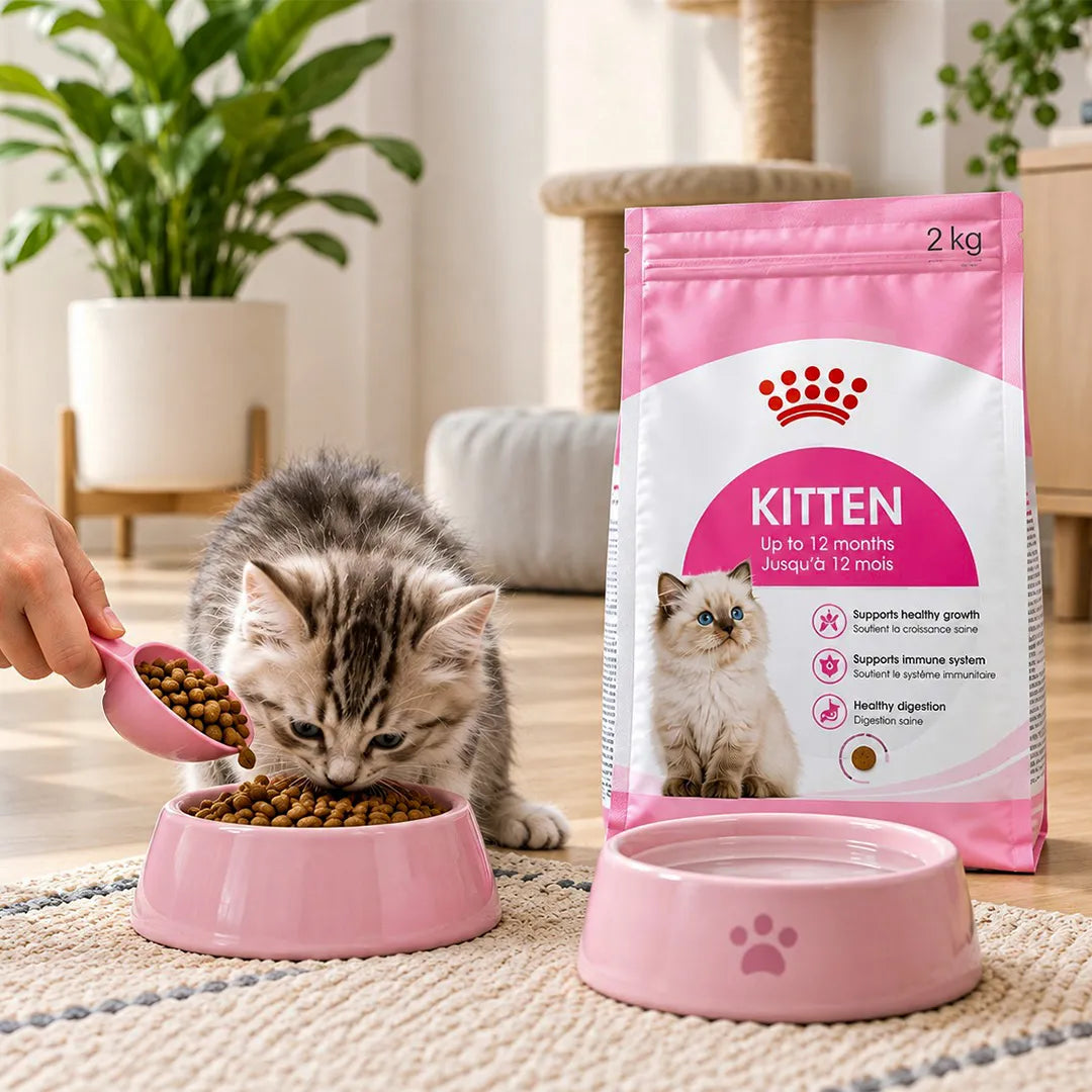 Royal Canin Kitten Dry Food (Up to 12 Months)